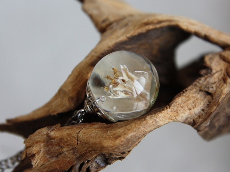 May include: A clear glass pendant with a dried flower inside. The pendant is hanging from a silver chain.