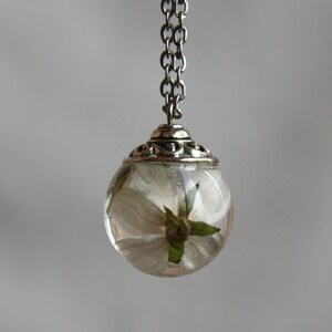 May include: A silver chain necklace with a clear glass pendant containing a preserved white flower.