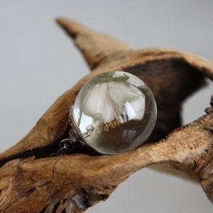 May include: A clear glass sphere pendant with a delicate white flower preserved inside. The pendant is hanging from a silver chain and is resting on a piece of driftwood.