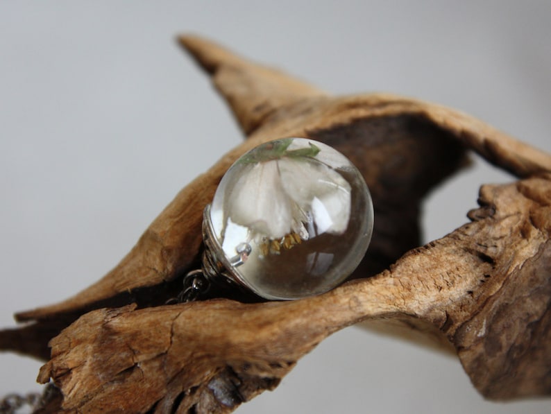 May include: A clear glass sphere pendant with a delicate white flower preserved inside. The pendant is hanging from a silver chain and is resting on a piece of driftwood.