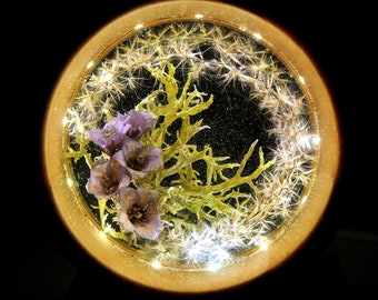 Floral Resin Night Light: Hardwood, Oak Moss & Feather Grass