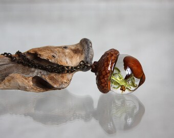 Acorn Terrarium Pendant: Real Moss and Mushrooms, Botanical Necklace