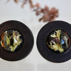 Magnetische Vorhang Krawatte mit Cladonia, Moos, Flechte, Blütenblätter, Holz und Epoxy, Home Decor, Cladonia Krawattenvorhang