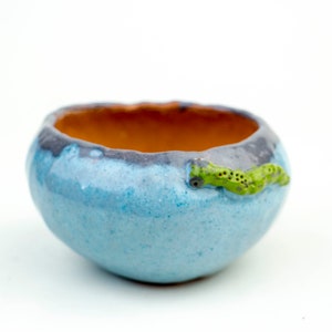 May include: A small, round ceramic bowl with a light blue exterior and a dark blue rim. The interior is a warm orange color. A green caterpillar with black spots decorates the side of the bowl. The bowl is likely handmade.