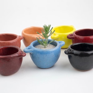 Puede incluir: Un conjunto de siete pequeñas macetas de cerámica en varios colores, incluyendo rojo, naranja, amarillo, azul y negro. Una maceta está plantada con una pequeña planta verde.