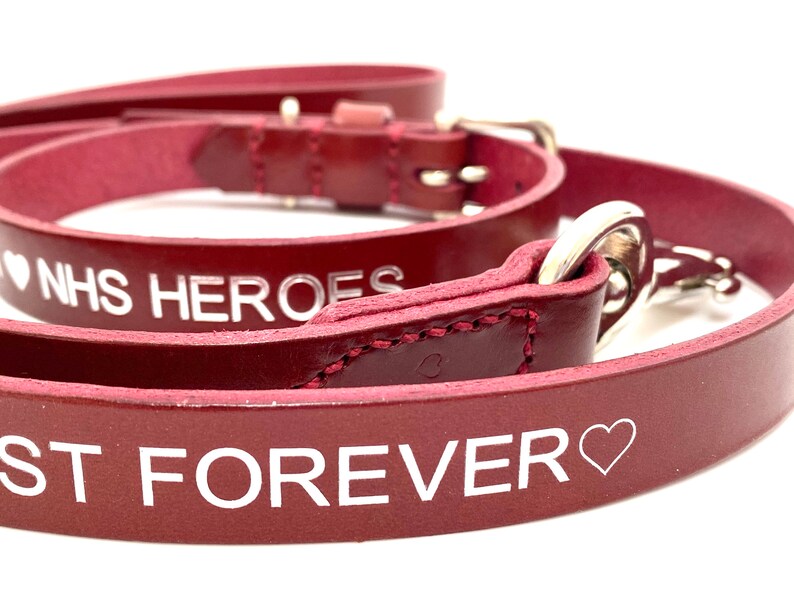 Storms Don\u2019t Last Forever Bordeaux Red Leather Dog Lead
