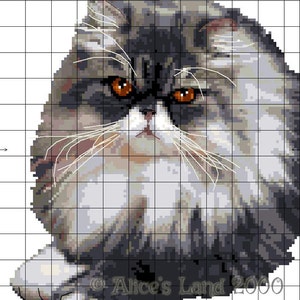 Cross stitch pattern grey Persian cat