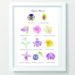 K&ouml;nnte beinhalten: Ein druckbarer Poster mit dem Titel "Vagina Flowers" und Illustrationen verschiedener Blumen mit ihren gebr&auml;uchlichen Namen. Die Blumen umfassen eine Stiefm&uuml;tterchen, eine Rose, eine Schmetterlingserbse, eine Calla, eine s&uuml;&szlig;e Orchidee, eine rote Canna, eine Cochlios-Orchidee, eine Pfeil-Araceae und eine Mottenorchidee.