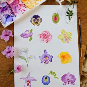 K&ouml;nnte beinhalten: Aquarellmalerei verschiedener Blumen, darunter Stiefm&uuml;tterchen, Orchideen, Rosen und Lilien. Die Blumen sind in Schattierungen von Lila, Rosa, Gelb und Wei&szlig; gemalt.