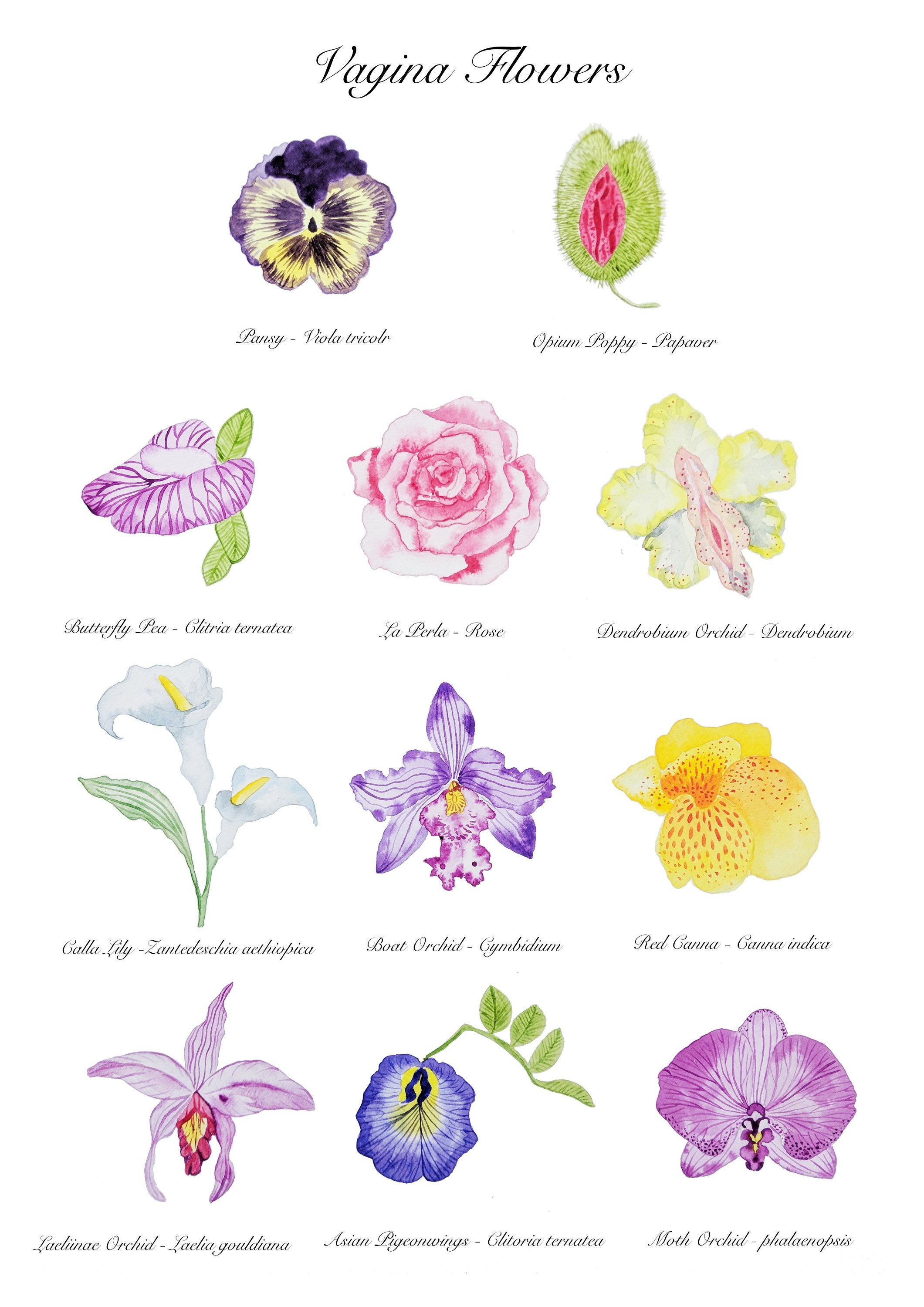 Vagina Flowers Giclee Print Girl Power Wall Art Print Etsy