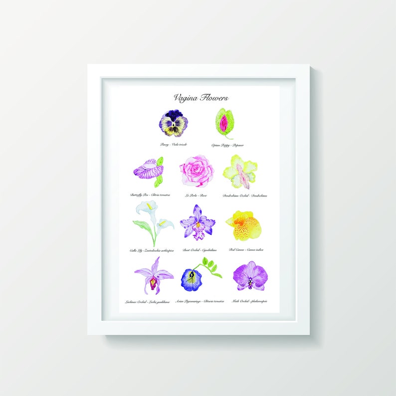 K&ouml;nnte beinhalten: Ein druckbarer Poster mit dem Titel "Vagina Flowers" und Illustrationen verschiedener Blumen mit ihren gebr&auml;uchlichen Namen. Die Blumen umfassen eine Stiefm&uuml;tterchen, eine Rose, eine Schmetterlingserbse, eine Calla, eine s&uuml;&szlig;e Orchidee, eine rote Canna, eine Cochlios-Orchidee, eine Pfeil-Araceae und eine Mottenorchidee.