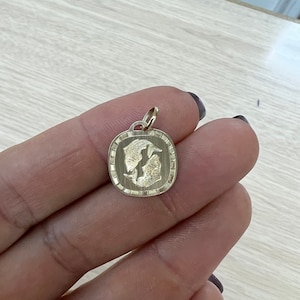 Pisces charm medallion in solid 18k yellow gold