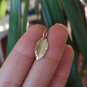 Leaf charm in solid 10k yellow gold image 1
