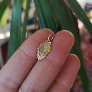 May include: A gold leaf charm pendant. The charm is detailed with a textured design.