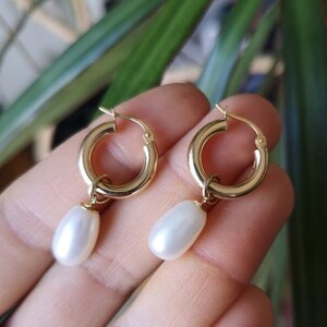 Hoop earrings with pearl dangles in solid 14k yellow gold image 3