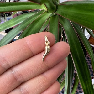 Small Cornicello charm in solid 10k yellow gold