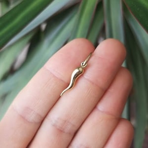 Italian horn charm - 10K yellow gold