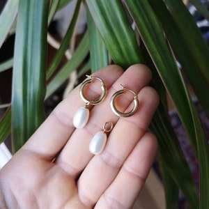 Hoop earrings with pearl dangles in solid 14k yellow gold image 5