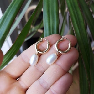 Hoop earrings with pearl dangles in solid 14k yellow gold image 2