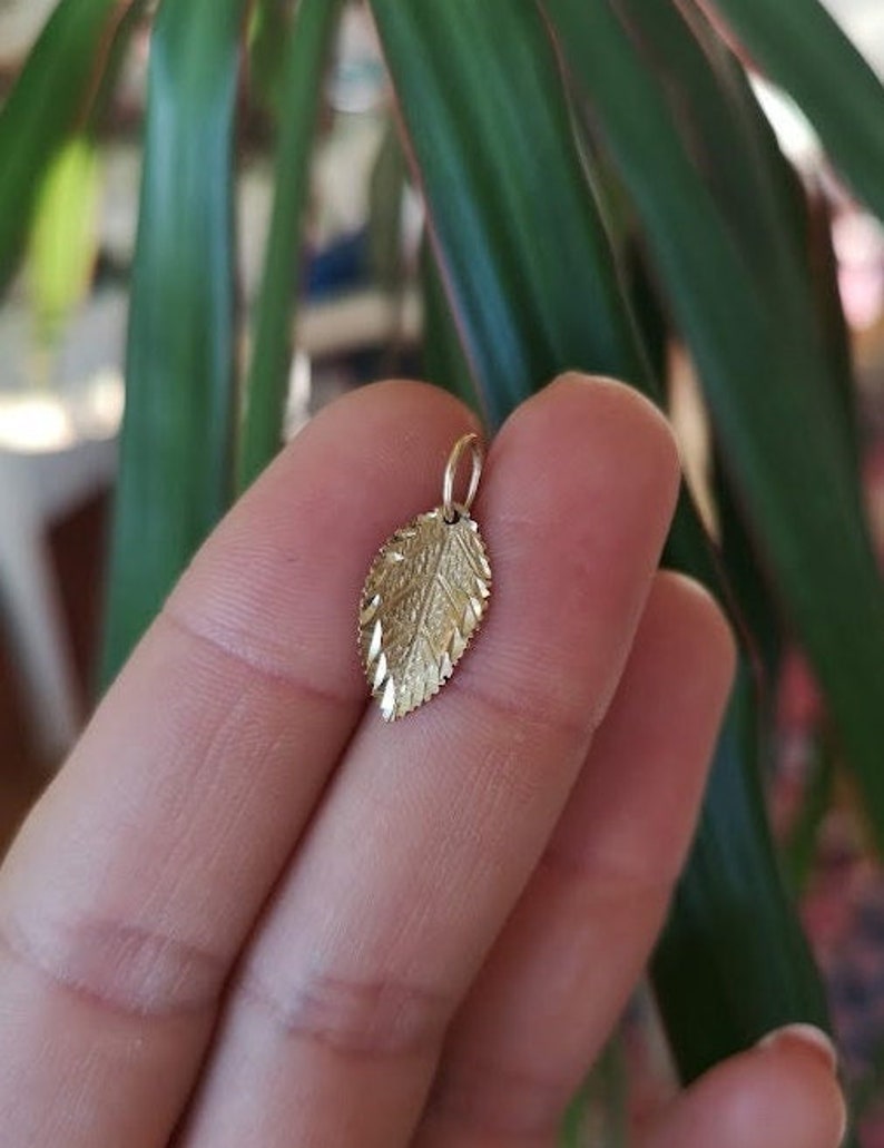 Leaf charm in solid 10k yellow gold image 1