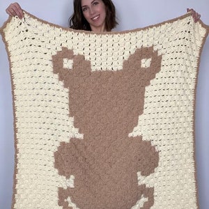 Pode incluir: Um cobertor de beb&eacute; de croch&ecirc; com um desenho de urso de peluche castanho. O cobertor &eacute; branco com um urso de peluche castanho no centro. O urso de peluche &eacute; feito de um material felpudo.