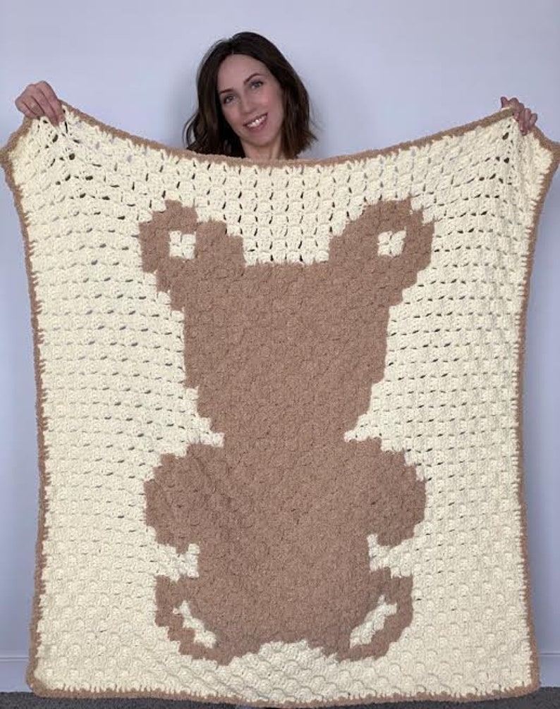 Pode incluir: Um cobertor de beb&eacute; de croch&ecirc; com um desenho de urso de peluche castanho. O cobertor &eacute; branco com um urso de peluche castanho no centro. O urso de peluche &eacute; feito de um material felpudo.
