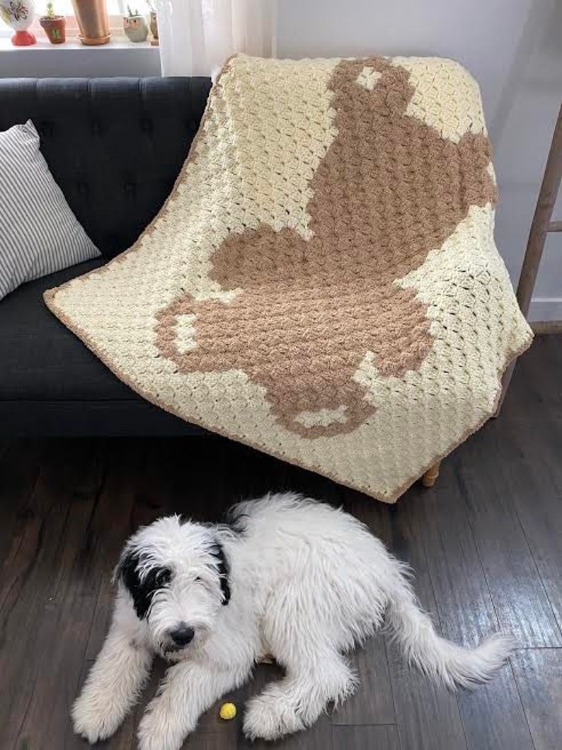 Pode incluir: Uma manta de croch&ecirc; branca e marrom com um padr&atilde;o geom&eacute;trico. A manta est&aacute; drapeada sobre um sof&aacute; preto e um c&atilde;o branco est&aacute; deitado no ch&atilde;o em frente ao sof&aacute;.