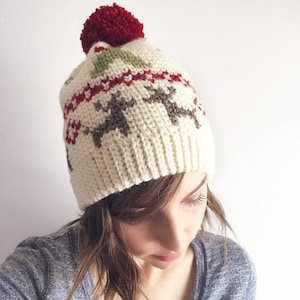 Mistletoe Kisses Beanie PDF DIGITAL DOWNLOAD Crochet pattern, Fair isle crochet hat pattern, christmas hat, reindeer winter hat pattern, image 4