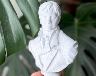 Mr Darcy Pride and Prejudice inspired Bust