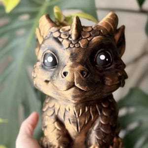 Drakväxtkruka (stor)