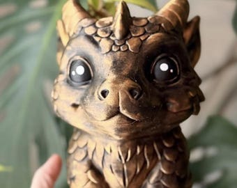 Dragon Plant Pot (Large)