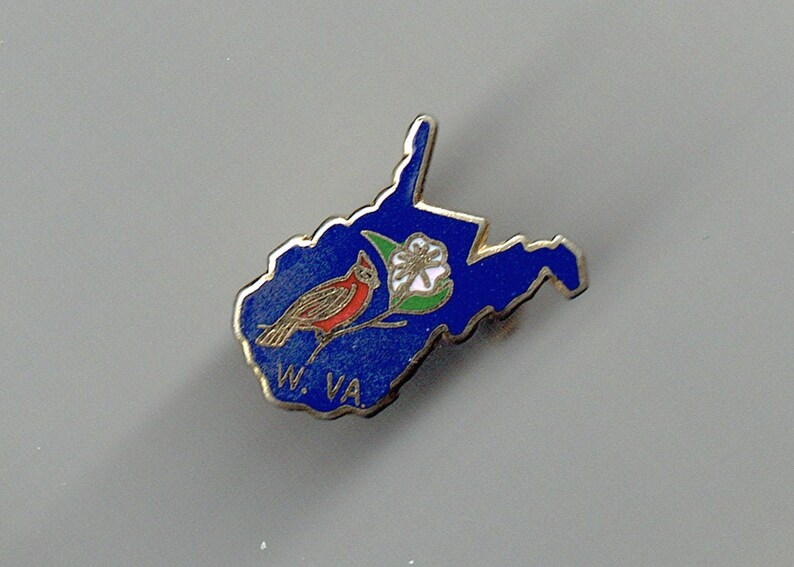 Virginia State Flag Lapel Pin USA VA