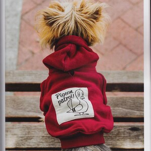 May include: A small dog wearing a red hoodie with a white patch that says "Pigeon patrol!" and a cartoon pigeon on it. The dog is sitting on a wooden bench.