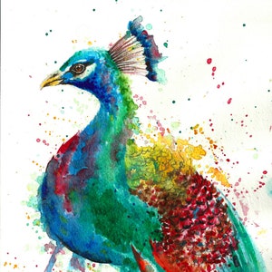 Peacock watercolour illustration original or print watercolor