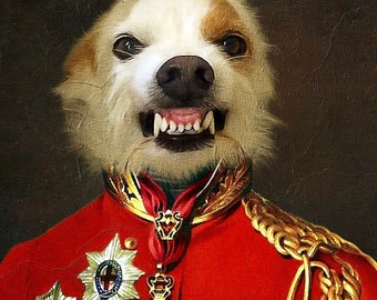 May include: A white and brown dog wearing a red military uniform with gold trim and medals. The dog has a serious expression and is looking directly at the viewer.