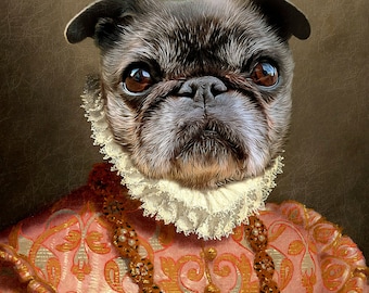 May include: A black pug dog wearing a pink and gold patterned outfit with a white lace collar and a gold beaded necklace. The dog is looking directly at the viewer with a serious expression.