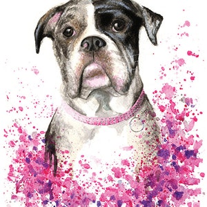 May include: A watercolor painting of a white and black bulldog with pink accents. The dog is wearing a pink collar with rhinestones. The background is a pink and purple watercolor splatter.
