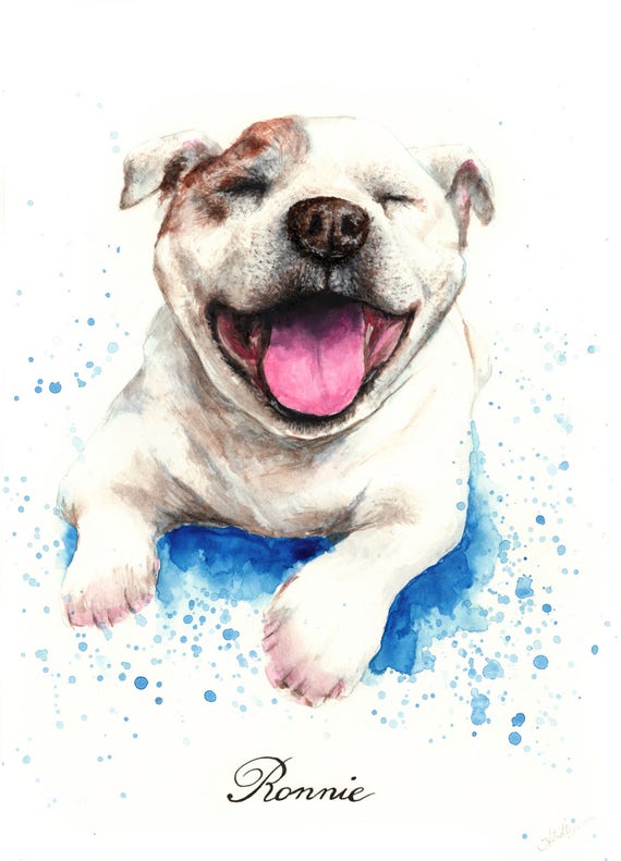 Custom pet portrait, pet portrait, custom dog portrait, cat portrait, handmade illustration from photo