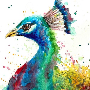 Peacock watercolour illustration original or print watercolor