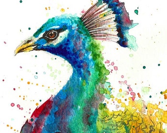 Peacock watercolour illustration original or print watercolor