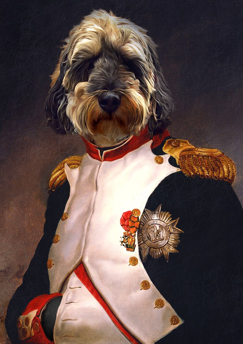May include: A portrait of a dog dressed as a military officer. The dog is wearing a white and black uniform with gold trim and a red sash. The dog has a serious expression on its face and is looking directly at the viewer.