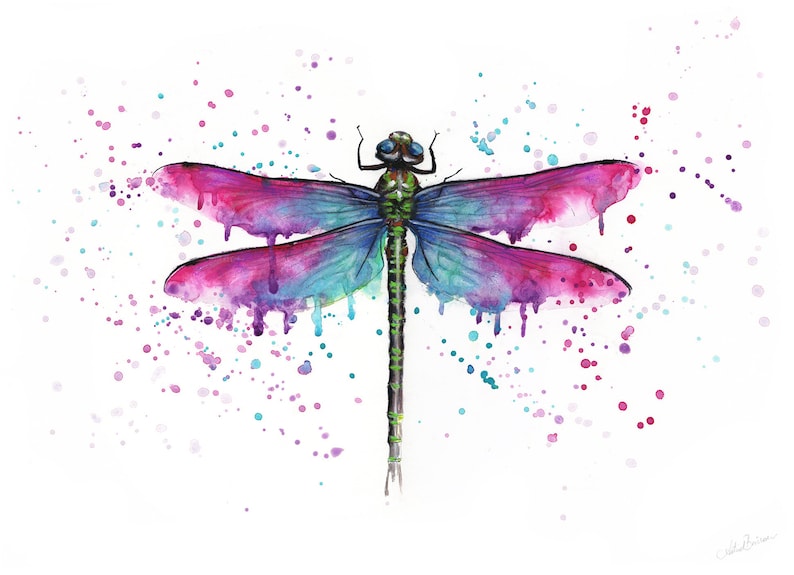 DRAGONFLY Watercolour Painting Illustration Original or Print