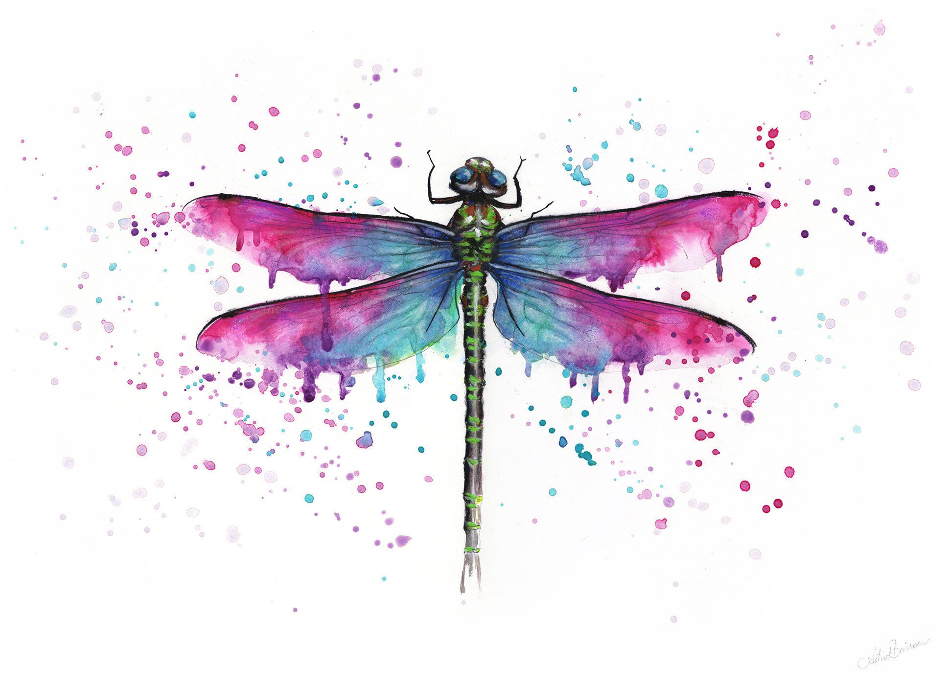 DRAGONFLY watercolour painting illustration original or print Etsy