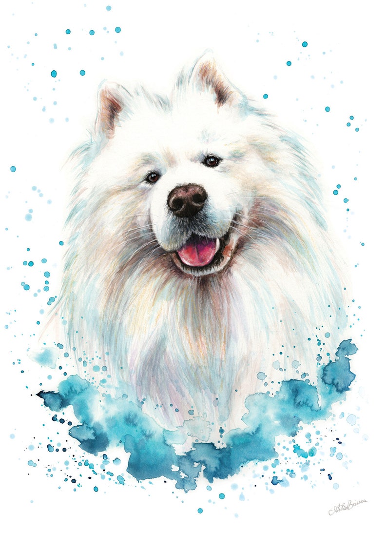 May include: A watercolor painting of a white Samoyed dog with a blue watercolor background. The dog is smiling and has its tongue sticking out.