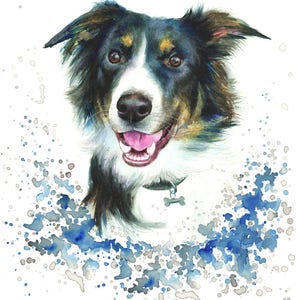 May include: Watercolor painting of a black, white, and brown border collie dog with a blue and gray watercolor splatter background.