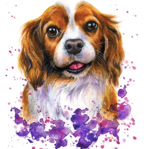 May include: Watercolor painting of a Cavalier King Charles Spaniel dog with brown and white fur. The dog is looking directly at the viewer with its tongue sticking out. The background is a purple watercolor splatter.