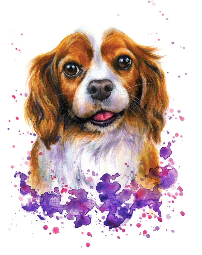 May include: Watercolor painting of a Cavalier King Charles Spaniel dog with brown and white fur. The dog is looking directly at the viewer with its tongue sticking out. The background is a purple watercolor splatter.