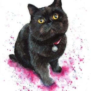 May include: A black cat with yellow eyes sits on a pink and blue watercolor background. The cat is wearing a red collar with a silver tag.
