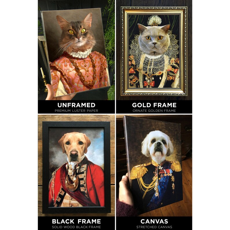 May include: Four different framing options for a pet portrait. The portraits feature a cat and two dogs dressed in historical clothing. The framing options include unframed, gold frame, black frame, and canvas.