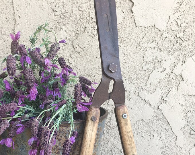 Vintage Hedge Trimmers by CORONA, Drop Steel/wood Handles 9 Blades, Handheld Garden Hedge